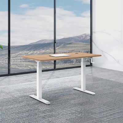 Mesa de pie de elevación ergonómica para escritorio eléctrico de 1,6 m