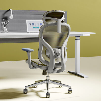 Office Chair Manufacturer High Back Full Mesh Ergonomic Adjustable Office Chair